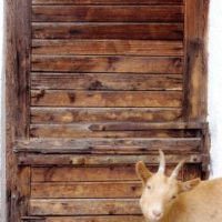 Der QUH-Adventskalender 2010 - das 9. Türchen