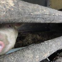 Der QUH-Adventskalender 2010 - das 18. Türchen