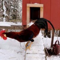 Der QUH-Adventskalender 2010 - das 6. Türchen