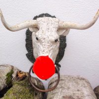 Faaasching! Faaasching!