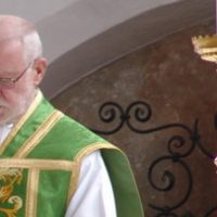 Diebstahl, Demos und Domkapitulare Diebstahl, Demos und Domkapitulare