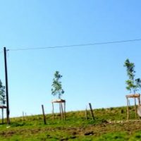 Wumpi und das Mastkreuzpendel (Die 12. Gemeinderatssitzung) Wumpi und das Mastkreuzpendel (Die 12. Gemeinderatssitzung)