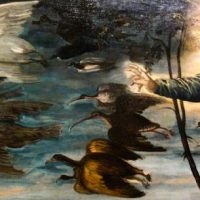 Die Stunde der Wintervögel 2014