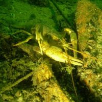 Der QUH-Adventskalender 2010 - das 19. Türchen