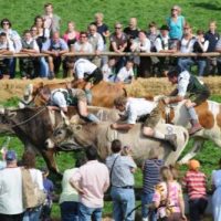 Hägar, der Glückliche