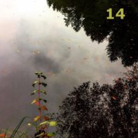 Der QUH-Adventskalender: das 14. Bildchen