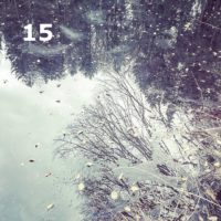 Der QUH-Adventskalender: das 15. Bildchen