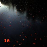 Der QUH-Adventskalender: das 16. Bildchen Der QUH-Adventskalender: das 16. Bildchen