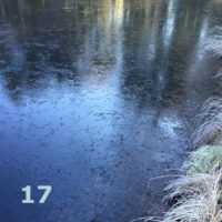 Der QUH-Adventskalender: das 17. Bildchen Der QUH-Adventskalender: das 17. Bildchen