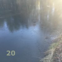 Der QUH-Adventskalender: das 20. Bildchen