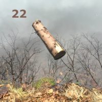 Der QUH-Adventskalender: das 22. Bildchen