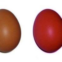 Rund & bunt & stark & bier Rund & bunt & stark & bier