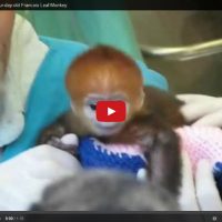 Noch 'ne Elke Noch 'ne Elke