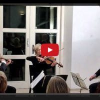 Der Bach Rauscht in Berg