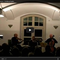 Wilde Maus Wilde Maus