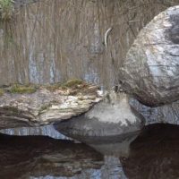 Gigantischer Schwarzbau in Berg entdeckt