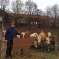 Kandidat Kuh Kuh - (Unser Höhenrainer bei der Parteiarbeit) Kandidat Kuh Kuh - (Unser Höhenrainer bei der Parteiarbeit)