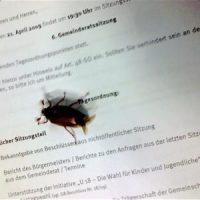 Kleinstvieh und viel Mist