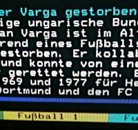 MTV trauert um seinen Ex-Star-Trainer Zoltan Varga