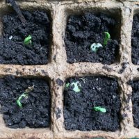 Heute Abend: Klub der 100