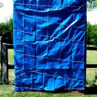 Wir sagen jetzt mal nichts / Folge 11 Wir sagen jetzt mal nichts / Folge 11