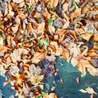 Drei Fliegen mit einem Streich - die 19. Gemeinderatssitzung