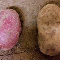 Laura und Linda Laura und Linda