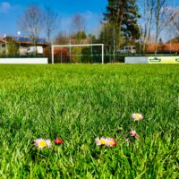 Matchday ohne Lohacker