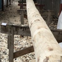 Großes Kino: Bachhauser Maibaum gerade noch gerettet