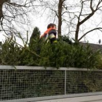 Erfolgreiche Abnadelung