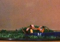 Es geht ums Prinzip: Der Kreisel diese Woche