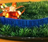 Ein echter Quickie - Bericht von der Gemeinderatssitzung