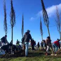 Ein großer Tag: Gemeinsame Pflanzaktion im Containerdorf
