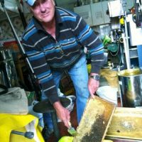 Kulinarische Nutzung regenerativer Energie