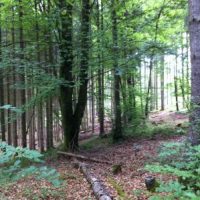 Ortstermin beim neuen Berger Windrad?