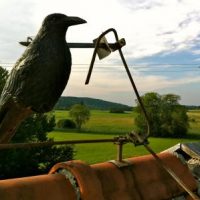 Holzwurm oder Woodstock? Holzwurm oder Woodstock?