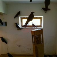 Tatütata - am Samstag wird's laut und blinkt Tatütata - am Samstag wird's laut und blinkt