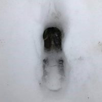 CSI Kempfenhausen CSI Kempfenhausen