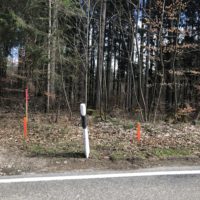 Alles wird gut – bloß wann?