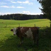 Die QUH denkt über Windkraft nach