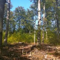 Diskussion über Windräder Diskussion über Windräder