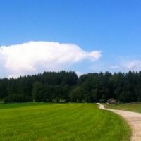 Hereinwehende Neuigkeiten zur Windkraft