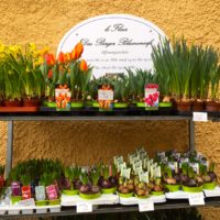 Neueröffnung: Le Fleur - das Berger Blumencafé