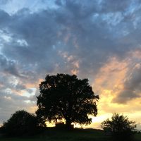 Stroh und Feuer Stroh und Feuer