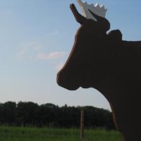 120 + 7 = Ein Hurra ... und 126 mal Dankeschön.