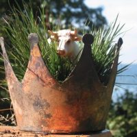 M/L (noch ein Tag bis zur Wahl)