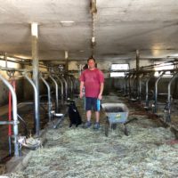 Das Hofsterben geht weiter