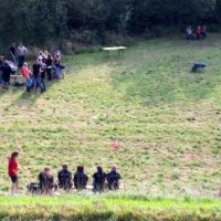 Was tun die denn da?