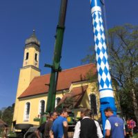 Der Baum des 21. Jahrhunderts steht