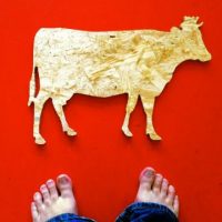 Ich wähle Elke Link, weil ...